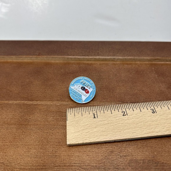 FLT Grand Master New York State Joe Bradley Pride Order of Odd Fellows Hat Pin - Picture 3 of 3